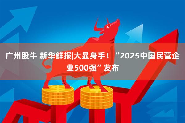 广州股牛 新华鲜报|大显身手！“2025中国民营企业500强”发布