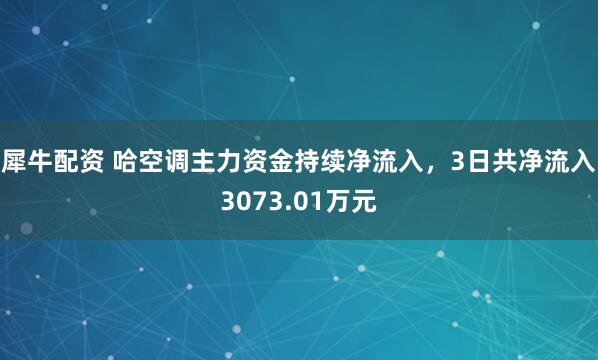 犀牛配资 哈空调主力资金持续净流入，3日共净流入3073.01万元